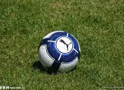 岁国青新星,蒯纪闻亚青,赛双响助阵,星耀娱乐官网,星耀娱乐品牌,星耀娱乐精彩,星耀娱乐