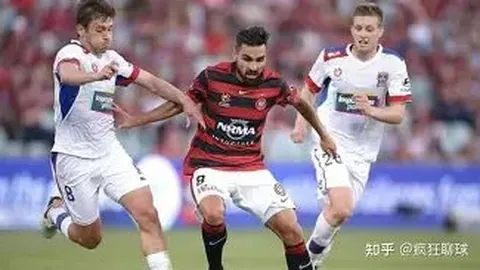 星耀娱乐 产品 100513 pcl